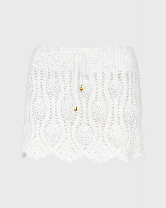 Elizabeth Hurley Crochet Mini Skirt