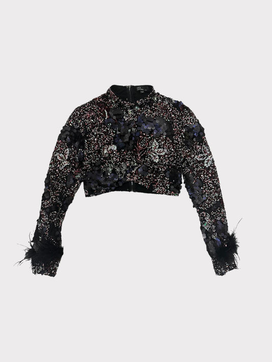 Hot & Delicious Long Sleeve sequin cropped top with feathers